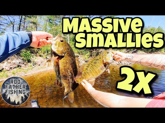 MASSIVE Smallmouth Bass Fishing  (Personal Best) - Northern Ontario 2021