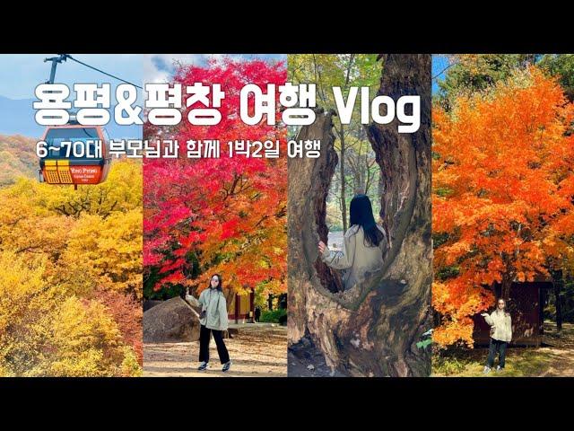 부모님과 여행1박2일 평창&오대산 단풍여행(발왕산, 오대산 월정사, 상원사)