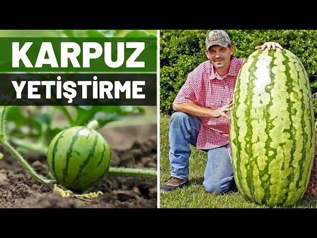 How To Plant Watermelon? How To Grow Watermelon At Home?