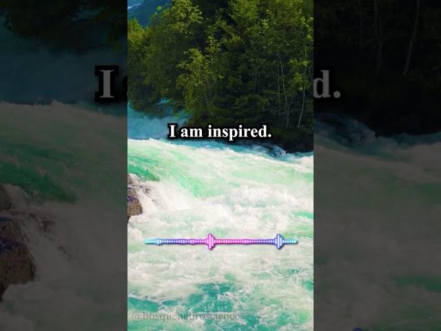 I AM Confident, I AM Successful | Affirmation Meditation | Meditation to Start The Day Positive
