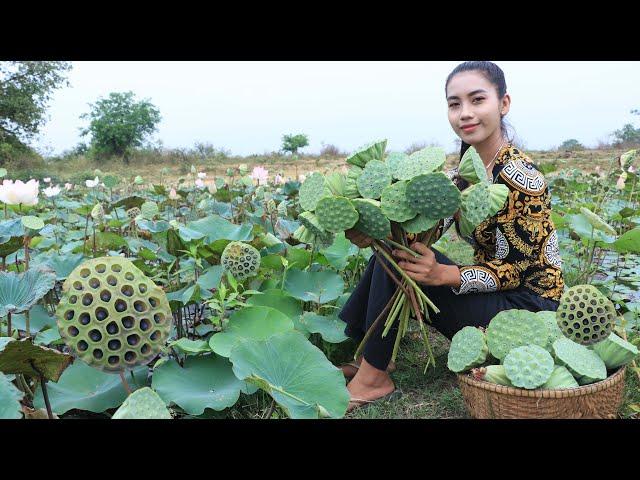 Lotus seed in my homeland and make dessert recipe - Healthy fruit