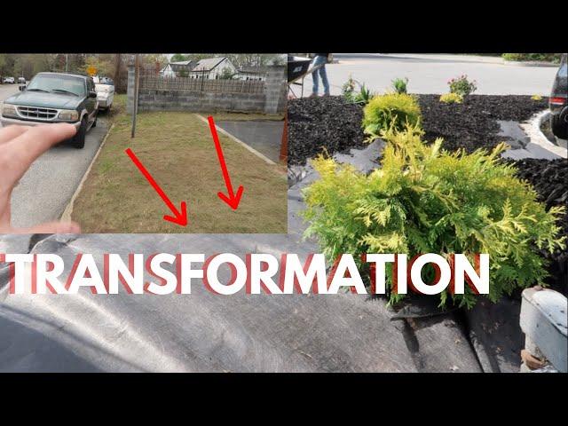 Incredible Store Front Landscape Transformation Time Lapse Start To Finish | Weeds to Mulch Beds