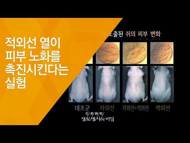 적외선 열이 피부 노화를 촉진시킨다는 실험 - (2016.9.7_592회 방송)_100세 청춘시대, 젊은 피부로 사는 법