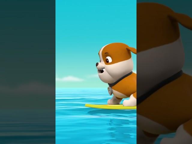 Zuma and Rubble showing off surfing stunts - Paw patrol