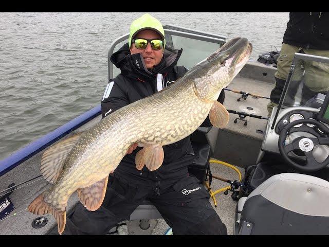 LIVEfiske efter gädda med Alexander Leech Lexén!