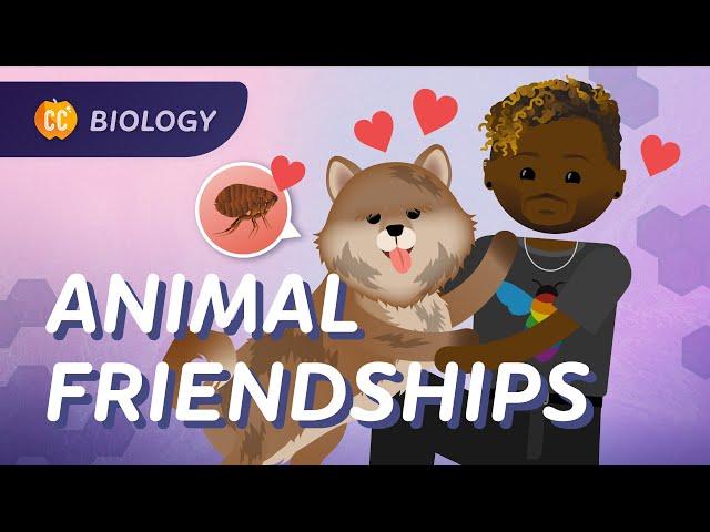 Community Ecology: Interspecies Interactions: Crash Course Biology #6