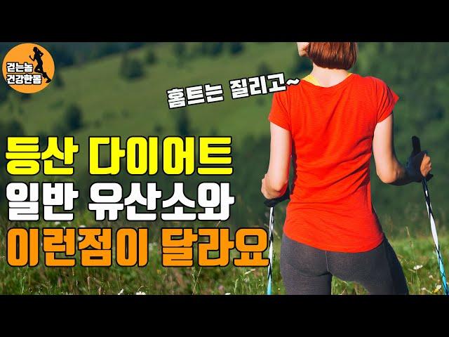 등산다이어트 방법, 걷기운동 대신 일주일에 한번 산에 가면 효과 있을까 - 걷는놈 건강한몸