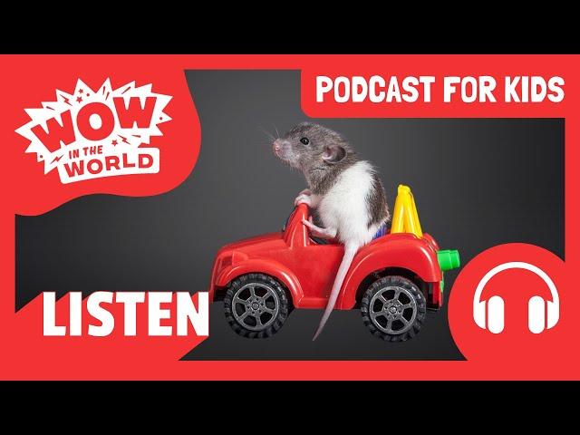 Can RATS Drive CARS?!  | PODCAST FOR KIDS | Wow in the World FULL EPISODE | Science for Kids