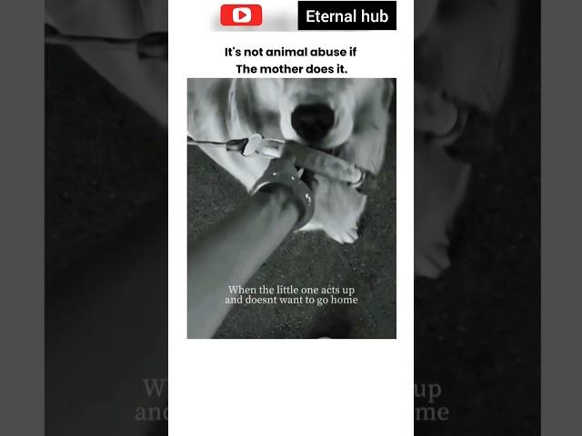Animal abuse  mother Right || ETERNAL HUB || #shorts #eternalhub #science #sciencehub #viral