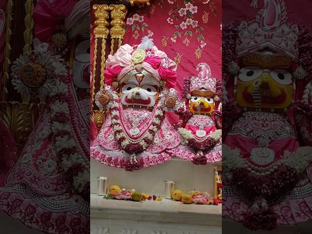 Jay Jagannath ️#Snana Yatra#devotionalsong #iskcontemple #hyderabad #mithunkumar 