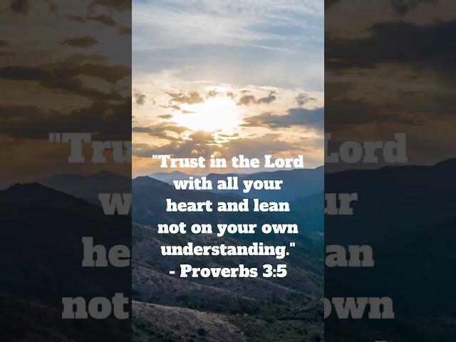 Daily Scripture #shorts #bible #dailyscripture #jesus #god #scripture #faith #religion #proverbs