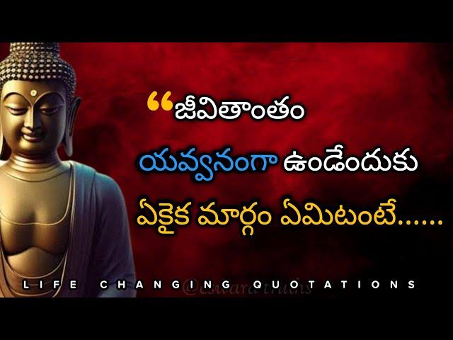 Telugu Motivational quotes about life | Buddha quotes | Jeevitha Satyalu |eswara truths | #216