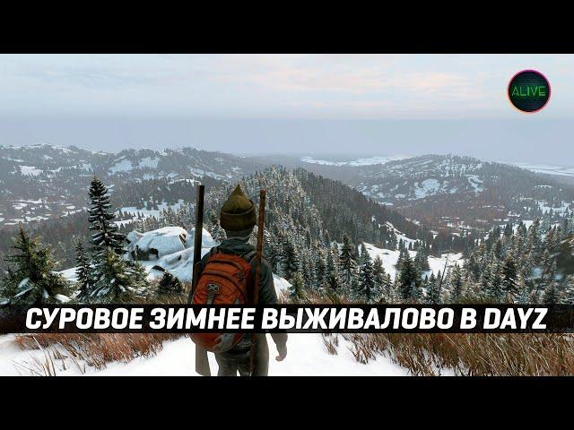 СУРОВОЕ ЗИМНЕЕ ВЫЖИВАЛОВО В DAYZ