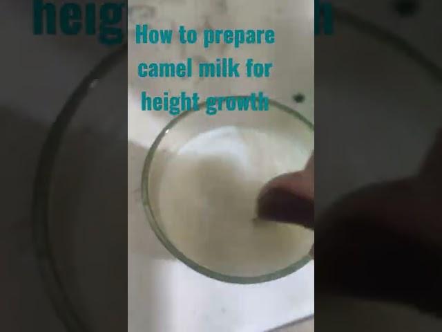 How to prepare camel milk for height growth rapidly