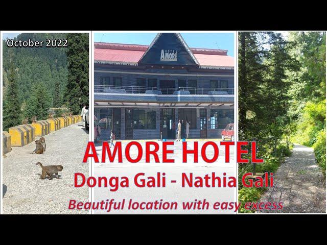 AMORE HOTEL - Best Hotel of Donga Gali - Nathia Gali