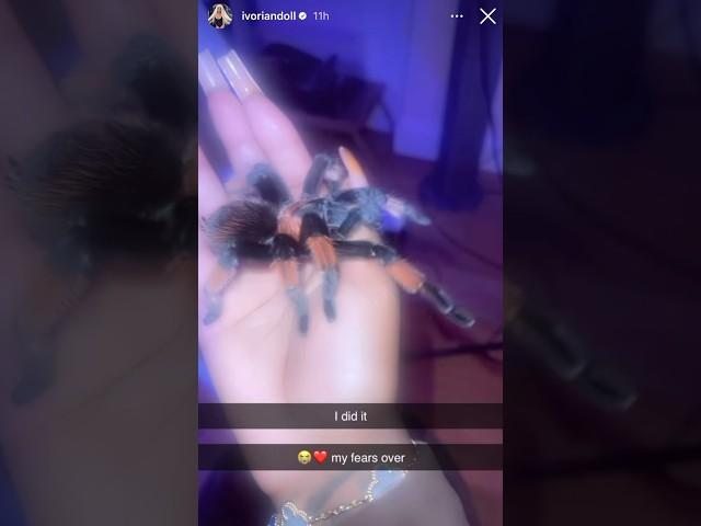 Ivorian Doll Faces Her Fears Of Spiders As She Holds Tarantula In Her Hand | Audio Saviours