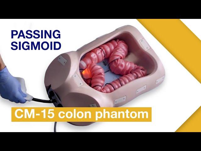 Basic Techniques of Colonoscope Insertion |Ex.3: Passing sigmoid colon without abdominal compression