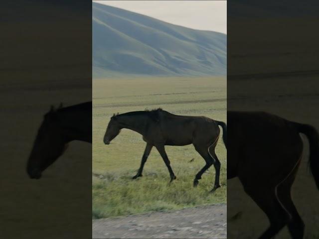 КРАСОТА РЕСПУБЛИКИ ТЫВА | NATURE OF SIBERIA