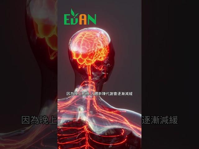 晚間攝取食物對身體的影響#艾門享受健康計畫 #飲食計畫 #減肥 #瘦身 #健康  #蔬果漾 #優菌多 #亮妍肌漾