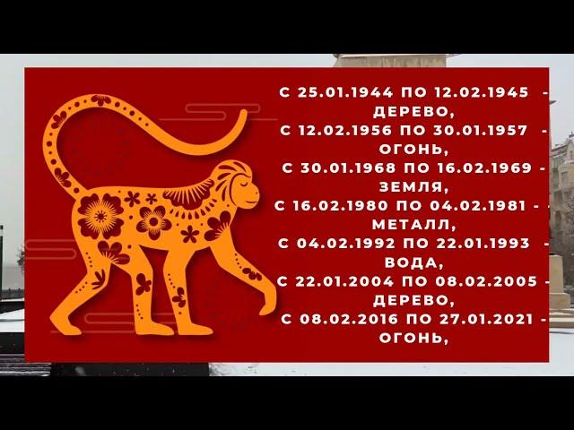 Гороскоп на 2024 год для рожденных в год ОБЕЗЬЯНЫ, 1956, 1968, 1980, 1992, 2004 или 2016 годах.