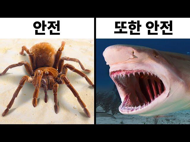 "몰랐어요!"라고 말하게 만드는 70가지 이상의 사실!