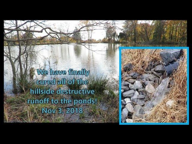 Destructive water runoff fixed! Farm Pond update. Rural life!