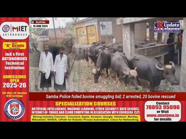 Samba Police foiled bovine smuggling bid; 2 arrested, 20 bovine rescued