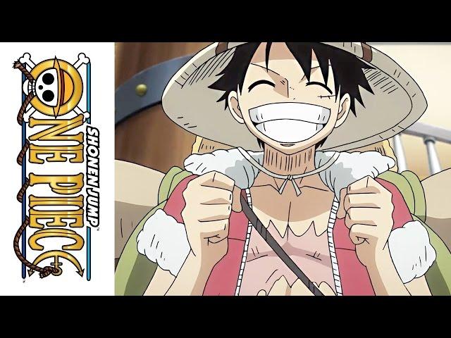 One Piece: Heart of Gold - TV Special (Blu-ray/DVD Combo)