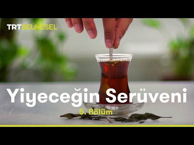 Yiyeceğin Serüveni | Çay | TRT Belgesel