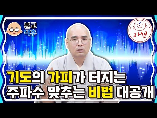 기도의 가피가 터지는 주파수 맞추는 비법 대공개 - 불교덕후 3-1