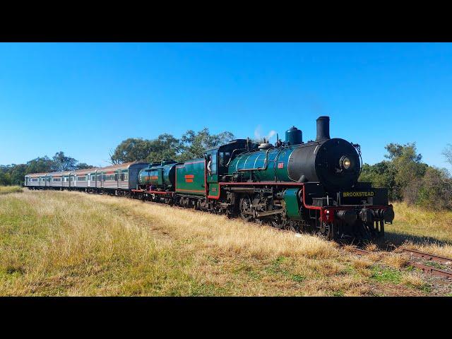 BB18 ¼ 1037 - "Brookstead Bound" - 8/06/2025
