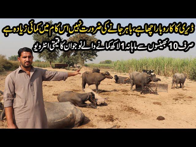 10 Buffaloes 1 Lac Monthly Income | Buffaloes Dairy Farming Tips 2020 By Young Boy