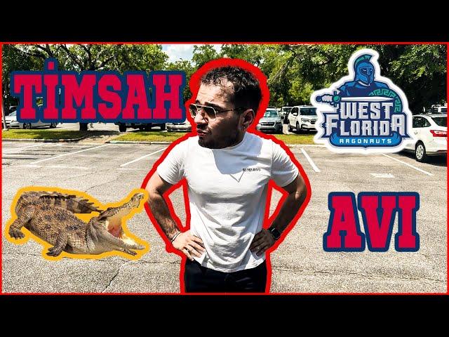 KAMPÜSTE TİMSAH AVI! | AMERİKA'YA NASIL GELDİM? DÜŞÜK ORTALAMA İLE  AMERİKA'DA YÜKSEK LİSANS!