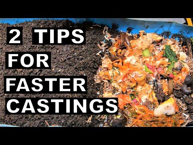 DO This To Make Worm Castings FASTER- 55 Gallon Worm Bin