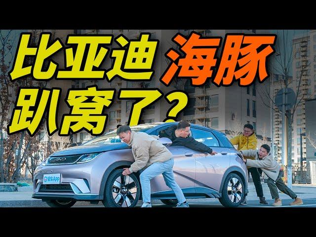 中国电动车有多牛？比亚迪海豚续航暴力测试！！！比亚迪|BYD|海豚|电动车|新能源车|