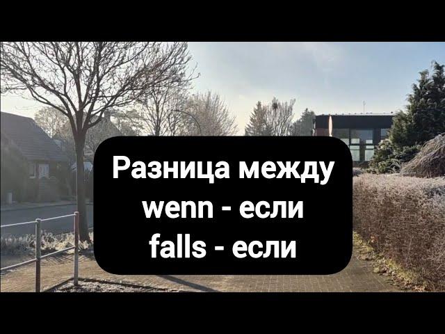 Разница между wenn & falls #немецкий #немецкийязык #deutsch #германия