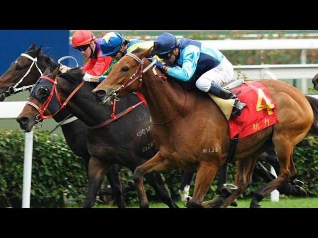 2006 The Mercedes Benz Hong Kong Classic Mile - Sunny Sing (新力升) - 冼毅力