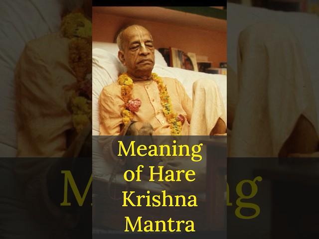 Meaning of Hare Krishna Mahamantra | Srila Prabhupada Short Lectures Bhagavatam #prabhupadavani