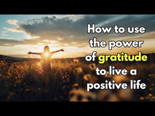 Finding Inner Peace: The Power of Gratitude and Positive Frequency