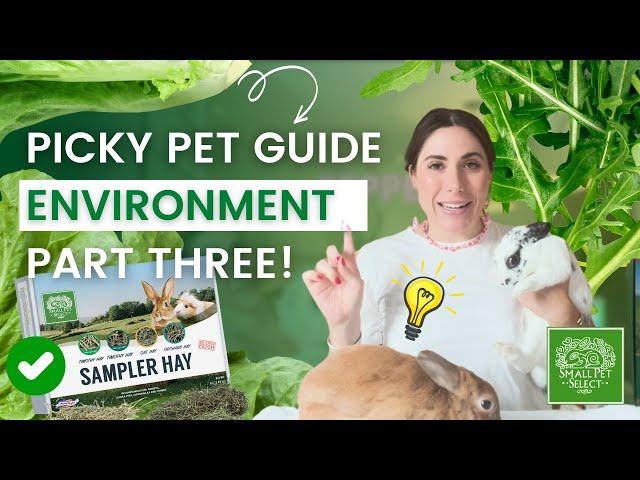 Your Bun's Environment is Affecting Their Diet! (Picky Pet Guide PART 3)