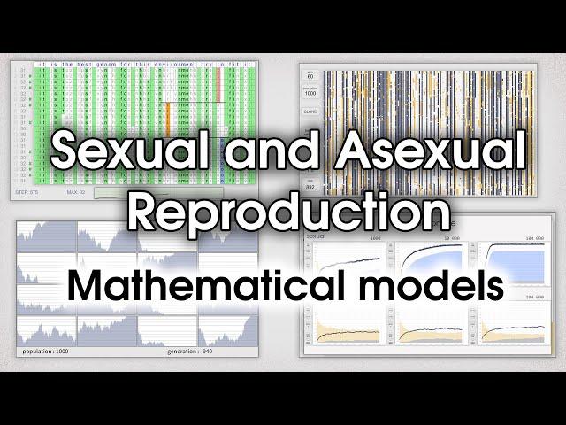 Sexual and asexual reproduction. Mathematical models