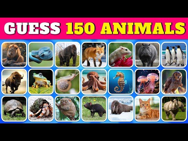 Guess 150 ANIMALS...!  | Guess The Animal in 5 Seconds | Quiz Rainbow