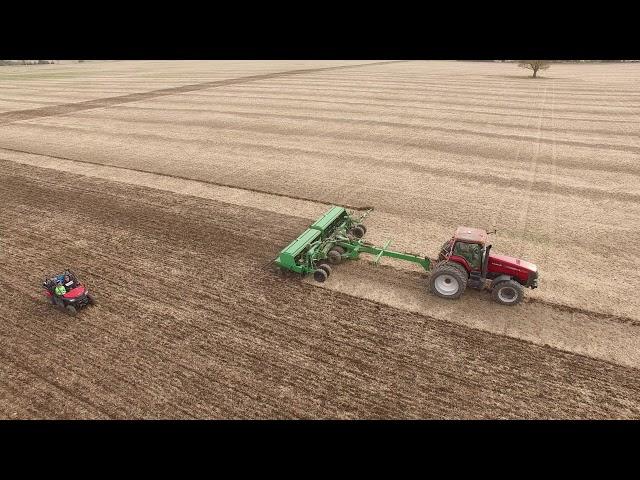 Winter wheat seeding - October 2017