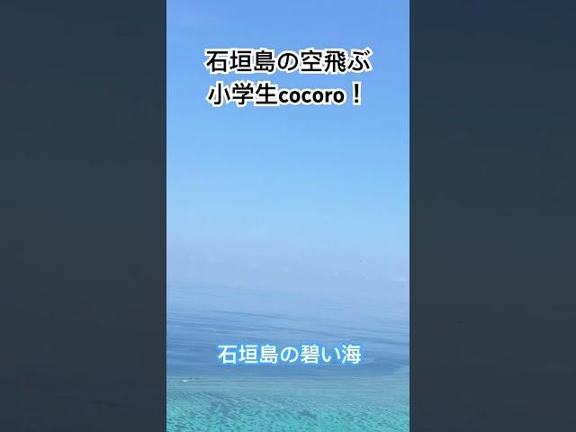 石垣島の空飛ぶ小学生cocoro！NP取得しました！#石垣島 #石垣島パラグライダー #パラグライダー #スカイアドベンチャーうーまくぅ