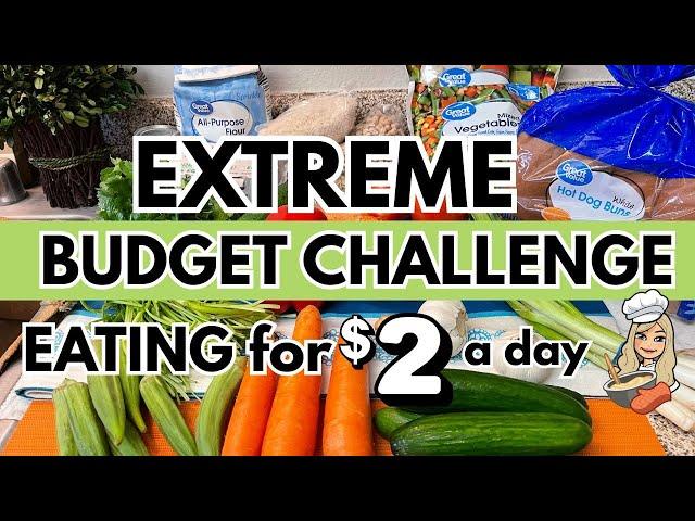 EXTREME GROCERY BUDGET CHALLENGE with MEALS