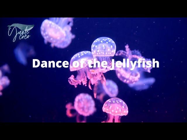 Dance of the jellyfish (peaceful music for sleeping)[peaceful music for studying] relaxing and calm