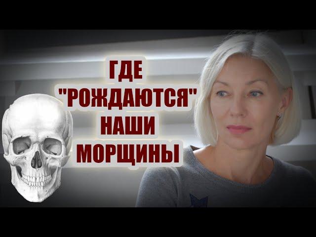 ГДЕ, на самом деле, "рождаются" наши морщины | И при чём тут череп?over50 @ludmilabatakova