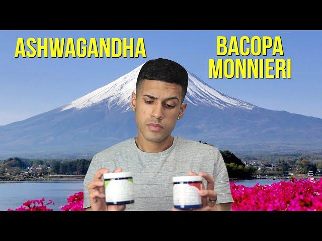 Ashwagandha vs. Bacopa Monnieri | Which Is Better?