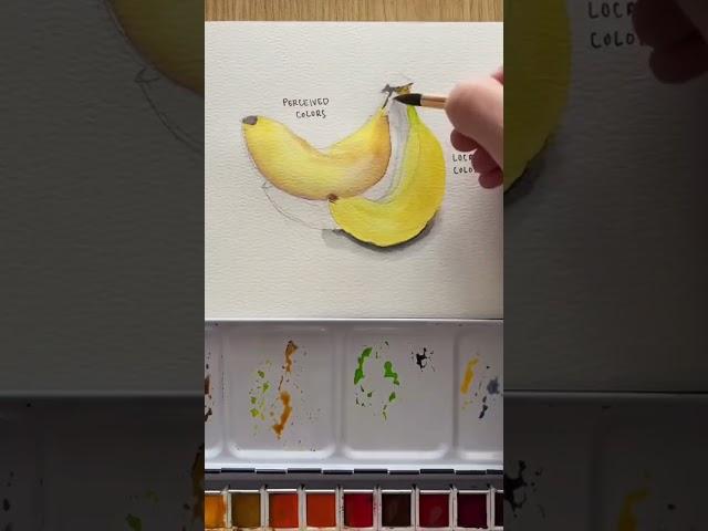 Color Theory #art #watercolor #artist #arttutorial #howtodraw #artwork #watercolorpainting