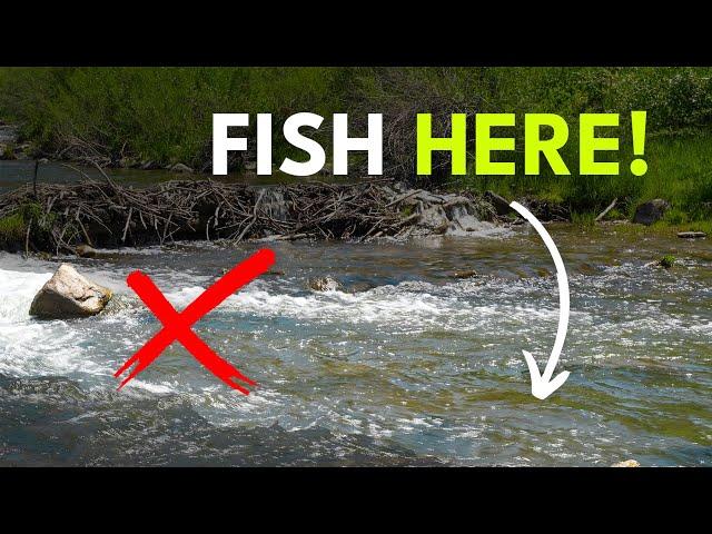 How To Find Trout In A River — Pocket Water 101 | Module 8, Section 2